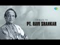 Tribute To Pt Ravi Shankar Pather Panchali Aparajito Title Music Pather Pachali Apur Sansar