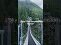 Discover BC's Jaw-Dropping Suspension Bridges - iTravelling Point Discover BC's Jaw-Dropping Suspension Bridges