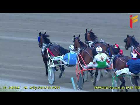 VI Corsa del 18 Agosto 2021   5 Anni ed oltre   TQQ