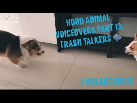 Hood Animal Voiceovers Part 13: Trash Talkers!