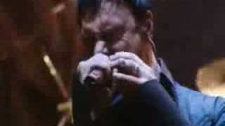 Nights of Arabia - Kamelot