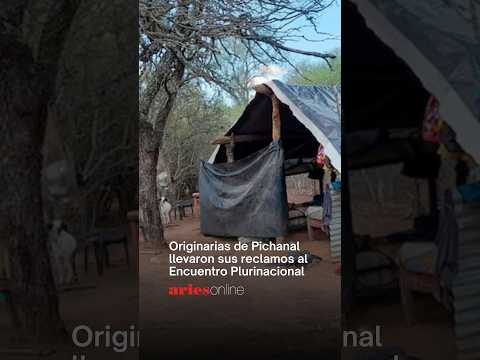 Originarias de Pichanal llevaron sus reclamos al Encuentro Plurinacional