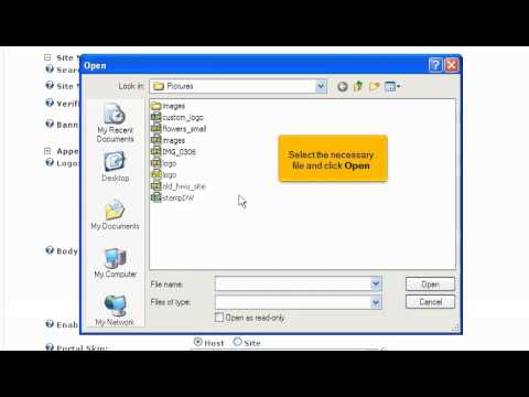 Tutorial: How to update the site logo in DotNetNuke | LayerOnline Web Hosting