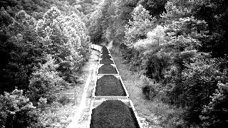 Floyd County Ramblers - Sunny Tennessee