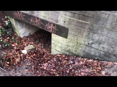 Atlantic Wall bunker position Oostvoorne