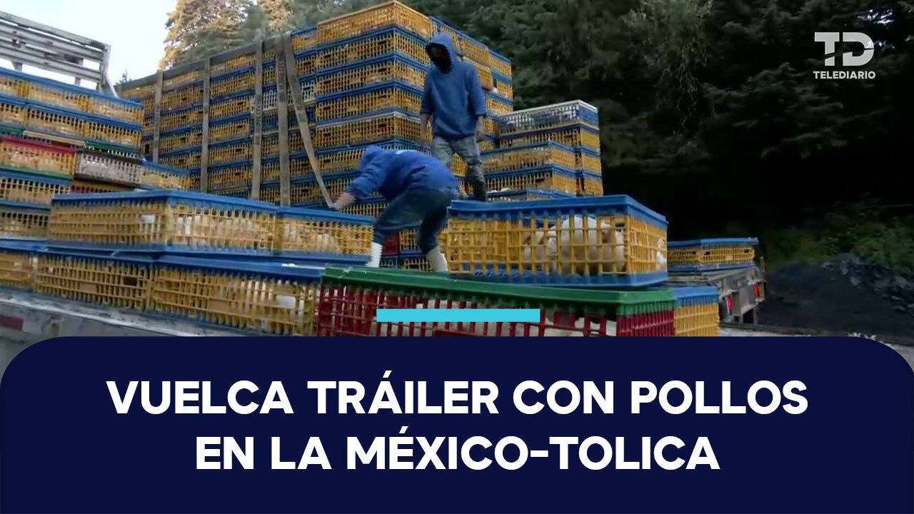 Tráiler con pollos vuelca en la México-Toluca; provoca cierre temporal