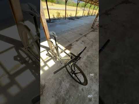 blicky got the stiffi, uh