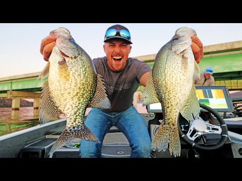 Watch Fishing DOCKS and BRIDGES For BIG SLABS!! (Crappie on Guntersville)  Video on