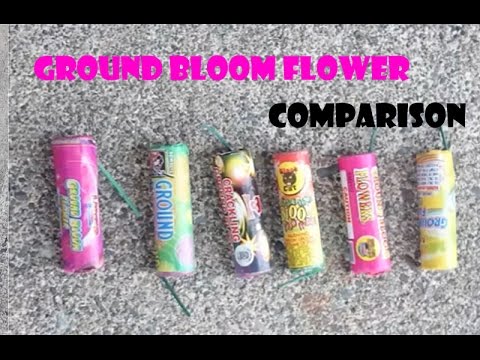 Ground Bloom Flower Comparison