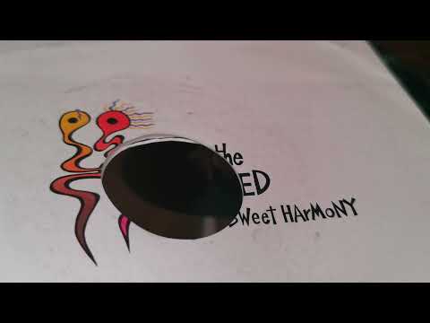 Sweet Harmony ~ The Beloved ~ 1992 Ex Jukebox 45rpm 7" Single ~ Dual 1215 A&R P77 Cartridge