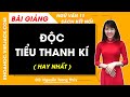 Độc Tiểu Thanh kí | Ngữ văn 11 - Kết nối tri thức