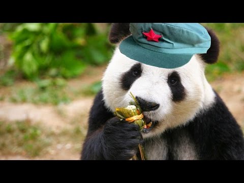 ネバネバ米と国家権力の転覆｜中国無修正版 (Sticky Rice and Subversion of State Power | China Uncensored)