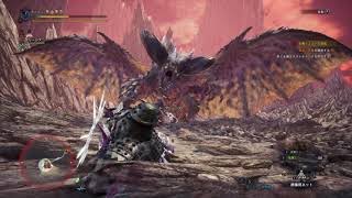 MHW IB#3