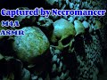 Captured By Necromancer ASMR RP M4A