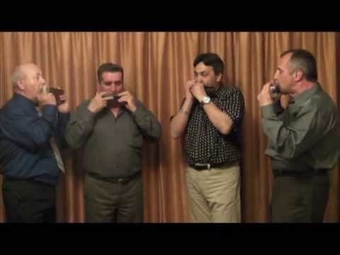 Hora si Sarba Muzicutelor LIVE , 4 muzicute