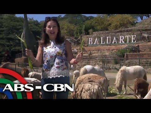 Rated K: Safari near the City | Baluarte sa Vigan, Ilocos Sur