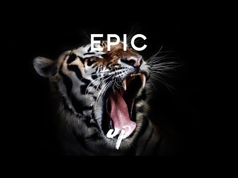 Talekeeper Studios - Kingsguard