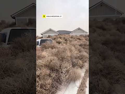 Utah, Nevada Towns Hit With 'Tumblemageddon'