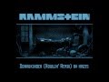 Rammstein - Donaukinder (Howlin' Remix by ...