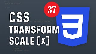 37 - Css Dersleri - Transform : Scale()
