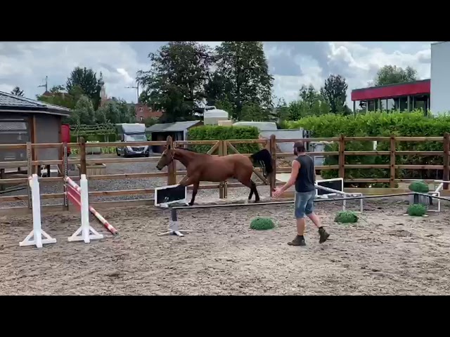 Home jumping