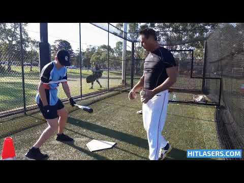 Harry Gregory: Carine Cats 16U