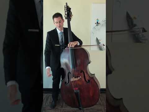 How to Play Fast Spiccato on the Double Bass (Upright Bass)