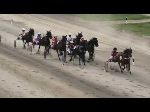 Trka "Konjički klub Vojvođanin-Sombor” 20.06.2020 Lejla S.P. - Ante Horvatski