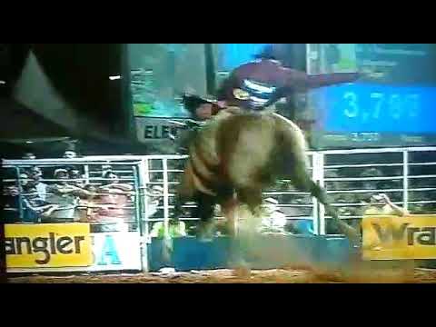 Marcos Antônio . Animal[ malicia] Paiol J ales 2006 Página Profissão Atletas de rodeio