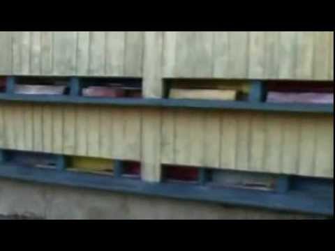 Včelí mor v Olomouckém kraji (26.05.2009)