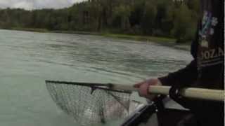 preview picture of video 'Alaska Salmon Fishing: John A. fights a 45lb Kasilof King Salmon'