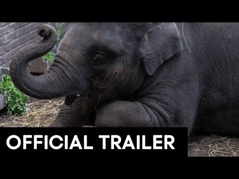 Zoo (Trailer)