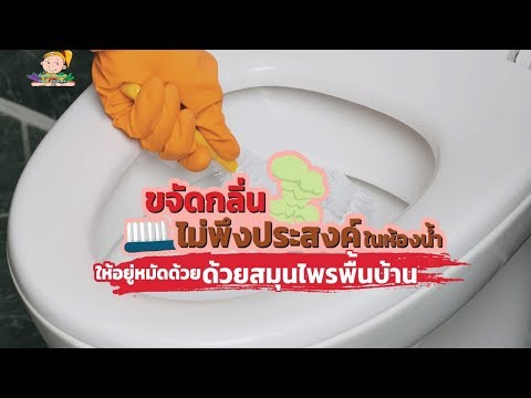 อะไรคือความแรงและวิธี Lechi สูตรอาหารจากผักกาดเพื่อเพิ่มความแข็งแรง