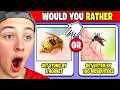 BECKBROS Play Would You Rather (impossible)