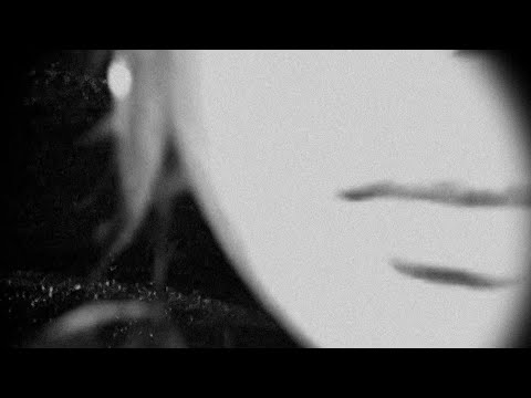 Kreativs - balts uz balta (OFFICIAL LYRIC VIDEO)