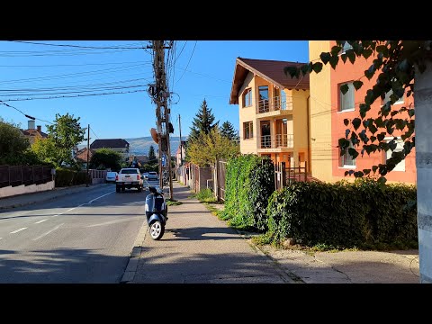 Plimbare prin cart. Buna Ziua si Andrei Muresanu, Cluj