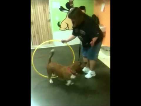 Tricks and Treats Class