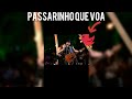 Luana prado Passarinho Que Voa Part F Luana prado Passarinho Que Voa Part F