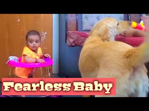 Cute Baby Angel Play With Dog 😯😺 ll @lkshitaAngel #cute #funny