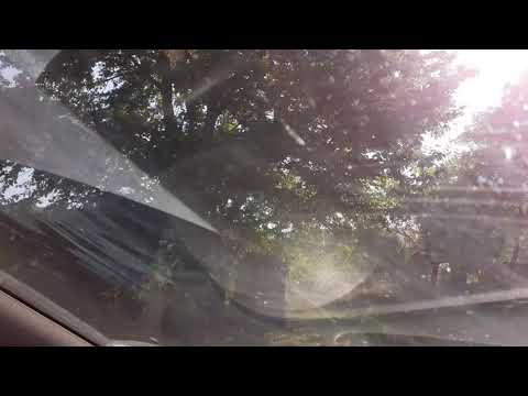 Drumul spre Racova.Desenele lui Bogdan !!