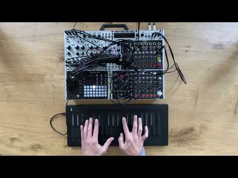 Polyend Poly 2 + Preset + Roli Seaboard