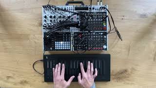 Video thumbnail for Polyend Poly 2 + Preset + Roli Seaboard by Polyend