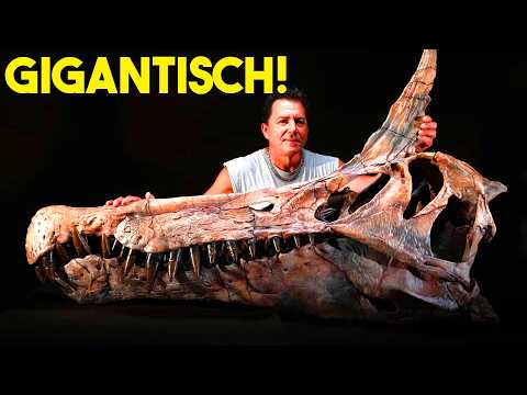 Video Thumbnail: Gigantische neue Dinosaurier-Art entdeckt! Was ist es?