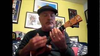 Ruby Don&#39;t Take Your Love to Town - Rene Sevieri (Cover)