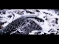 SOULFLY - World Scum (OFFICIAL MUSIC VIDEO)