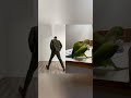 Just Wingin It Funny Dance Birds Trend