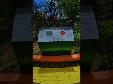 Joya de Cerén. San Juan Opico. La Libertad Centro. El Salvador C.A. #joyadeceren #engelramos