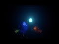 The Anglerfish Finding Nemo 3D