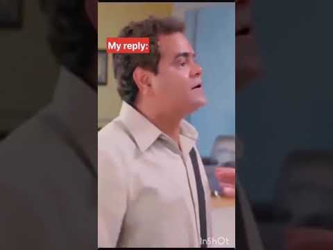 Cats are not just cats, they are family !!!! @Dontstopmeowing @podcats