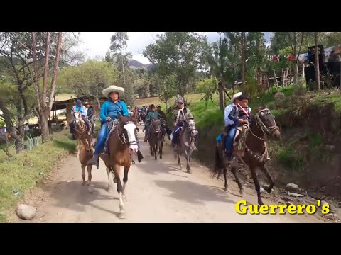 Sanjuanitos de Oro - Consuelo Para mis Penas (Audio Masterizado)